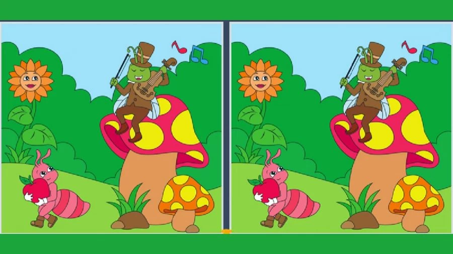 Brain Teaser Spot the Difference Picture Puzzle: Only a genius can find the 5 differences in less than 30 seconds!