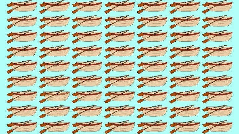 Optical Illusion Visual Test: If you have Eagle Eyes find the Odd Boat in 18 Seconds