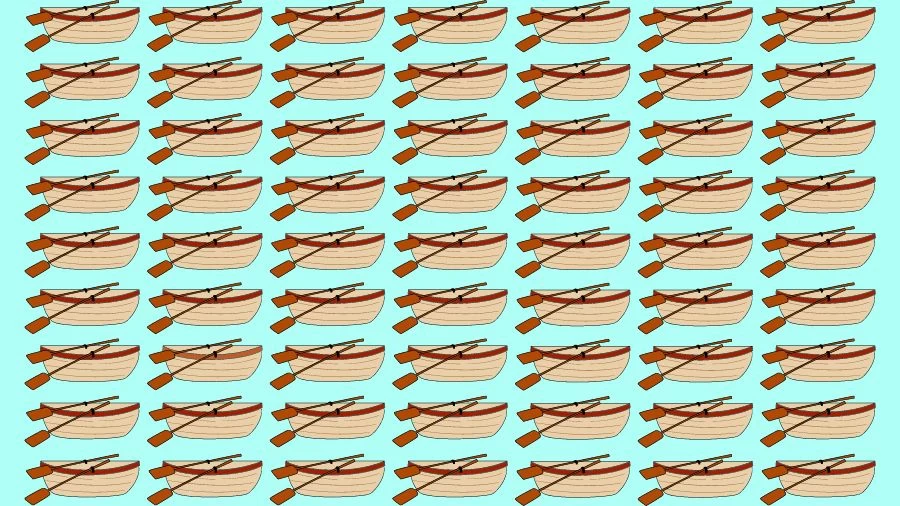 Optical Illusion Visual Test: If you have Eagle Eyes find the Odd Boat in 18 Seconds