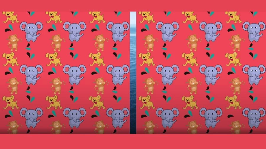 Optical Illusion Spot the Difference Picture Puzzle: Can You Find the Difference Between Two Images Within 21 Seconds?