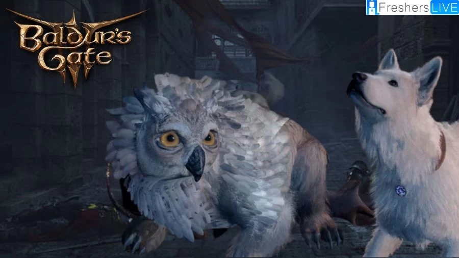 Baldurs Gate 3 Owlbear Cub Pet How to Get Owlbear Cub Baldur’s Gate 3?