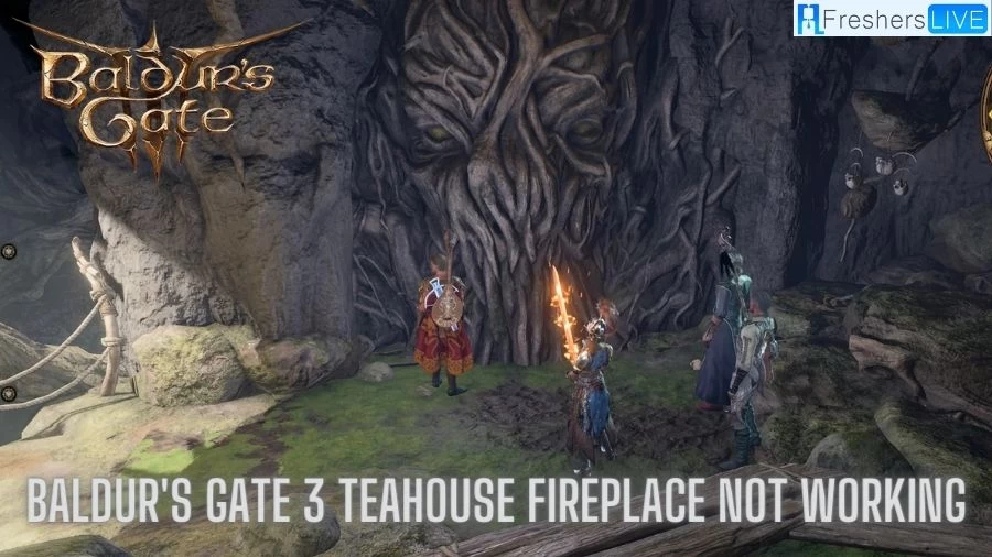 Baldur’s Gate 3 Teahouse Fireplace Not Working, How to Fix Baldur’s Gate 3 Teahouse Fireplace Not Working?