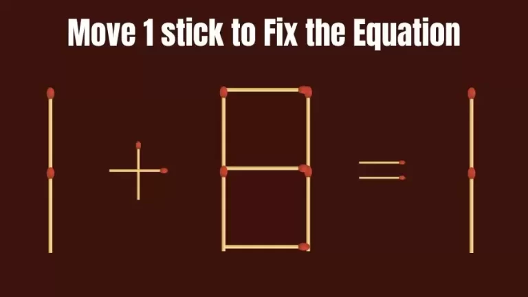 Brain Teaser: 1+8=1 Fix The Equation By Moving 1 Stick | Matchstick Puzzles