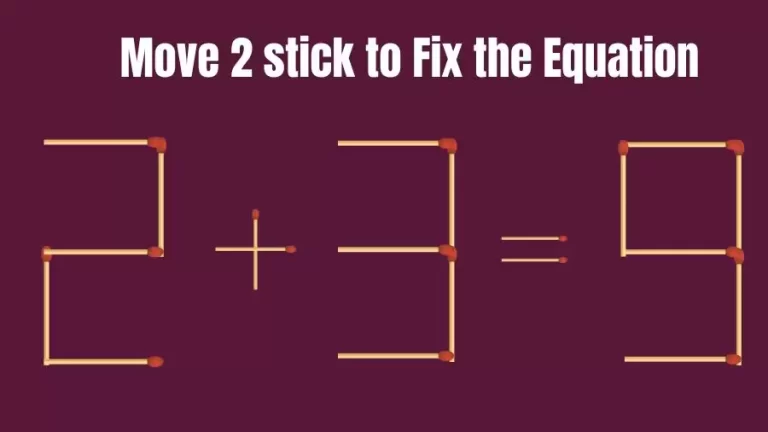 Brain Teaser: 2+3=9 Move 2 Sticks To Fix The Equation | Matchstick Puzzles