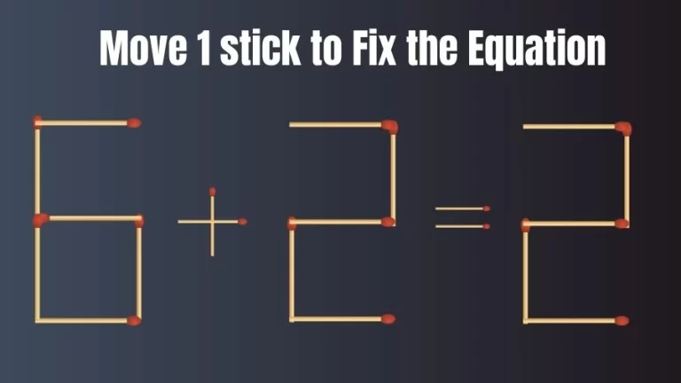 Brain Teaser: 6+2=2 Fix The Equation By Moving 1 Stick | Matchstick Puzzles