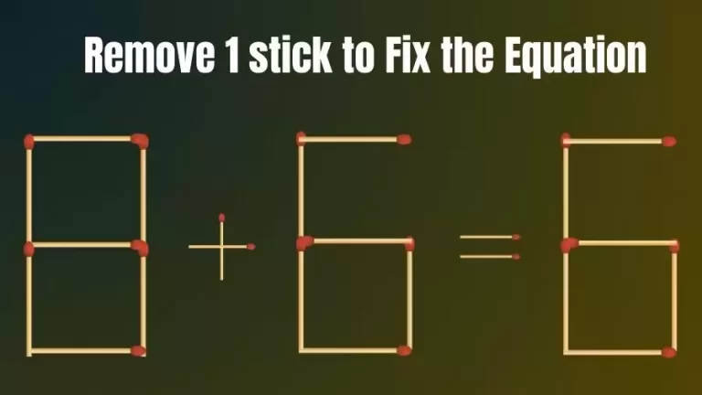 Brain Teaser: 8+6=6 Remove 1 Stick To Fix The Equation | Matchstick Puzzles