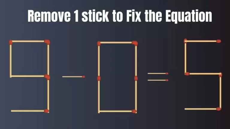 Brain Teaser: 9-0=5 Remove 1 Stick To Fix The Equation | Matchstick Puzzles