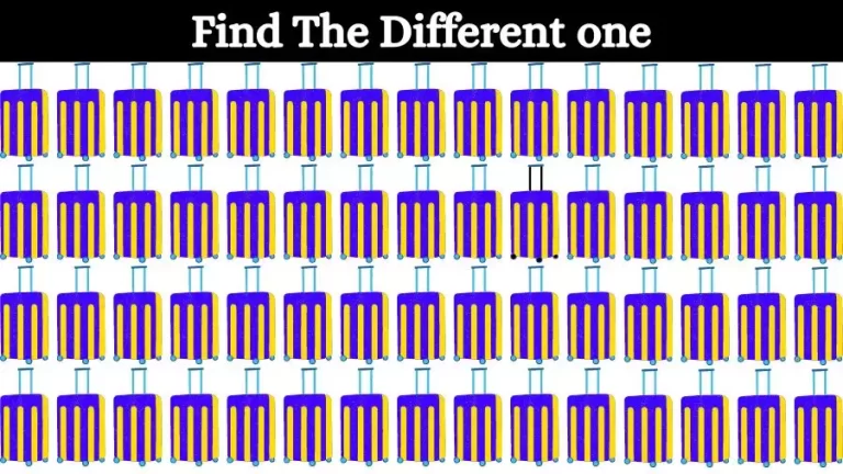 Brain Teaser: Can you Circle the Odd One Out in this Image