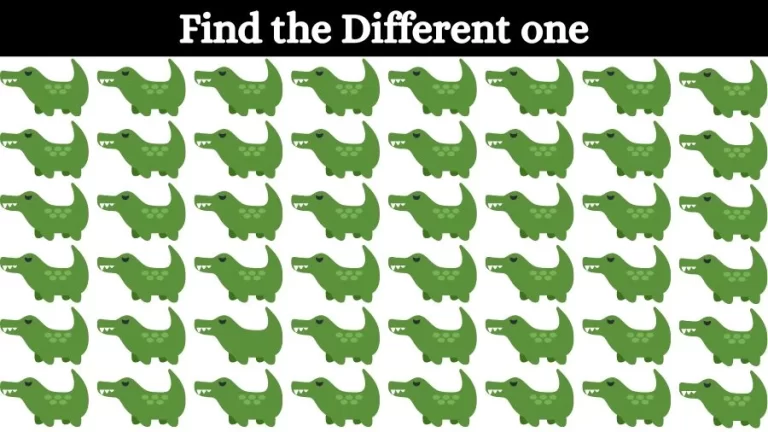 Brain Teaser Eye Test: Can you Spot the Odd One Out in this Picture in 12 Secs?