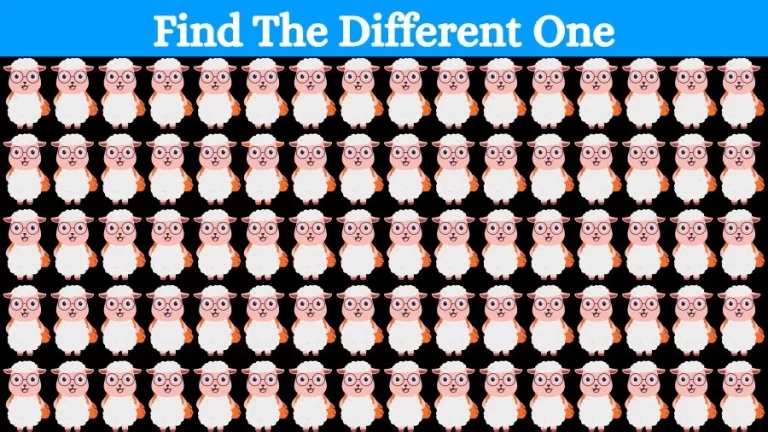 Brain Teaser Eye Test: Can you circle the Odd One Out In 12 Secs?