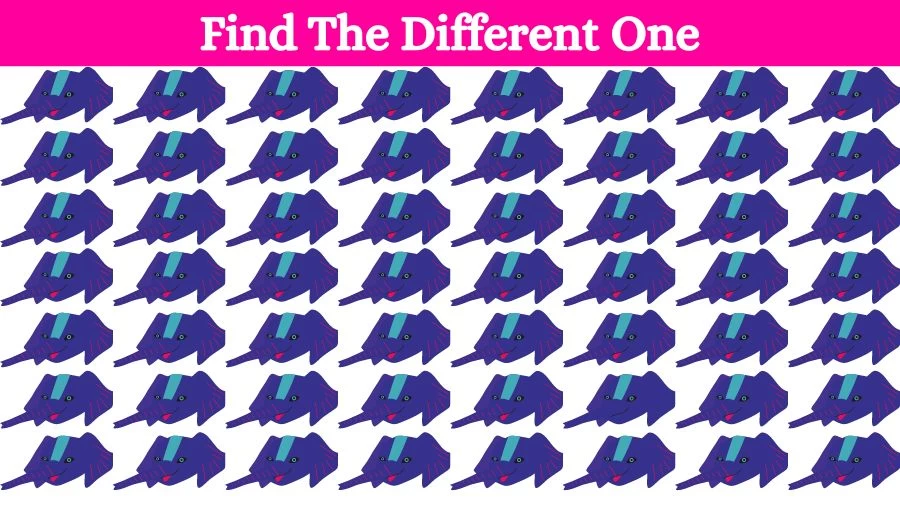 Brain Teaser Eye Test: Can you spot and Find the Odd One Out in this Picture?