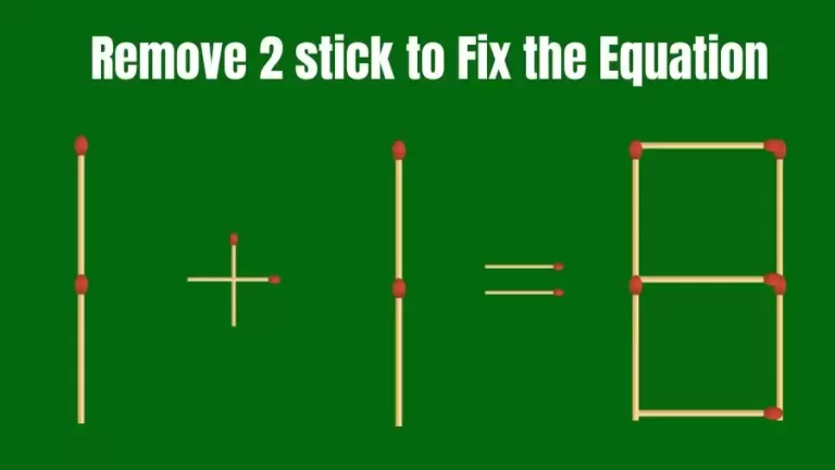 Brain Teaser IQ Challenge: 1+1=8 Remove 2 Matchsticks to Fix the Equation | Matchstick Puzzles