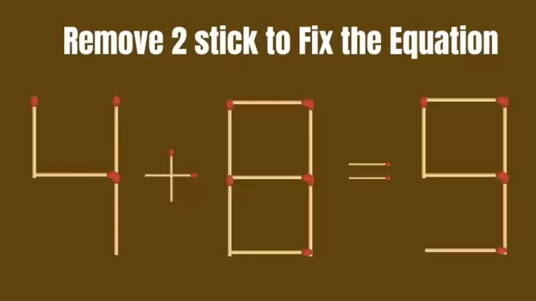 Brain Teaser IQ Challenge: 4+8=9 Remove 2 Matchsticks to Fix the Equation | Matchstick Puzzles