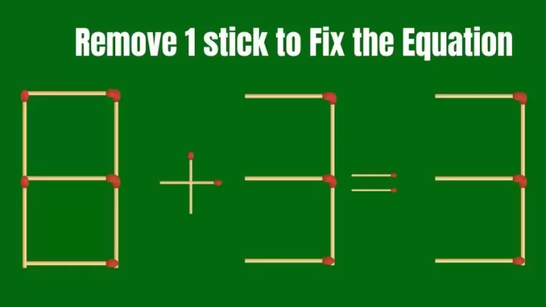 Brain Teaser IQ Challenge: 8+3=3 Remove 1 Matchstick to Fix the Equation | Matchstick Puzzles