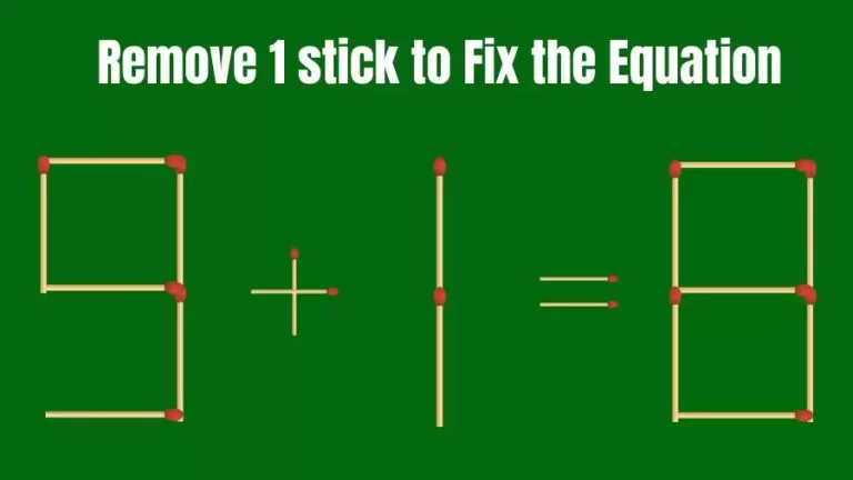 Brain Teaser IQ Challenge: 9+1=8 Remove 1 Matchstick to Fix the Equation | Matchstick Puzzles