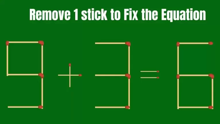 Brain Teaser IQ Challenge: 9+3=6 Remove 1 Matchstick to Fix the Equation | Matchstick Puzzles