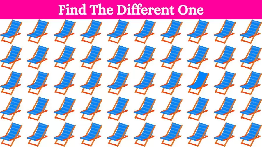 Brain Teaser Picture Puzzle – Can you spot the Odd One Out in this Image?