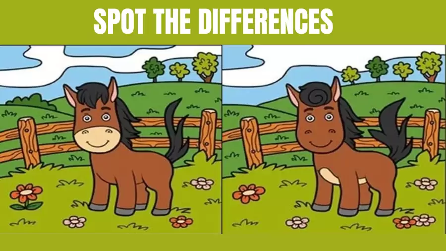 Brain Teaser Visual Test: Only a genius can find the 10 differences in less than 40 seconds!