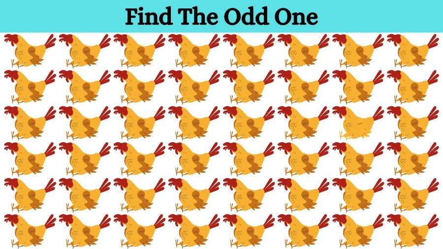 Brain Teaser for Sharp Eyes: Can you locate the Odd One Out in 08 Secs?