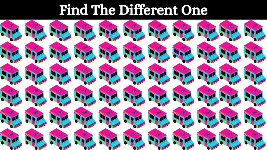 Brain Test: Can you Circle the Odd One Out in this Image