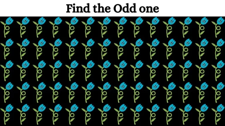 Brain Test: Can you Find the Odd One Out in this Image in 08 Secs?