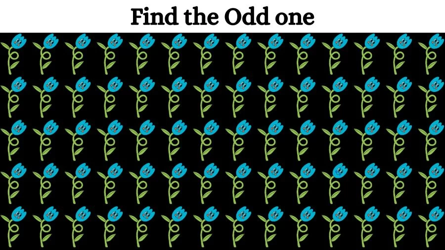 Brain Test: Can you Find the Odd One Out in this Image in 08 Secs?