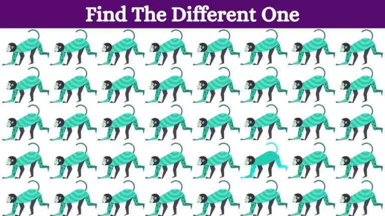 Brain Test: Can you spot the Odd One Out in this Image? Picture Puzzle