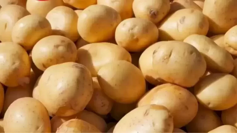 Can You Find the Hidden Stick among these Potatoes in Less than 10 Seconds? Explanation And Solution To The Optical Illusion