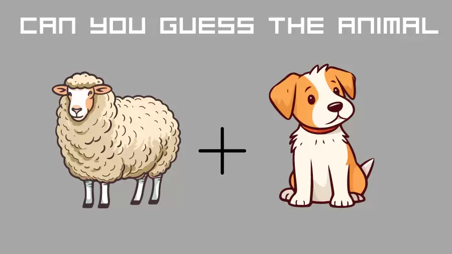 Emoji Riddles: If you are a Genius Find the Animal Name within 15 Secs