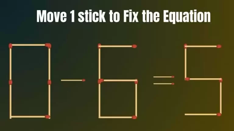 Matchstick Riddle: 0-6=5 Fix The Equation By Moving 1 Stick | Matchstick Puzzle