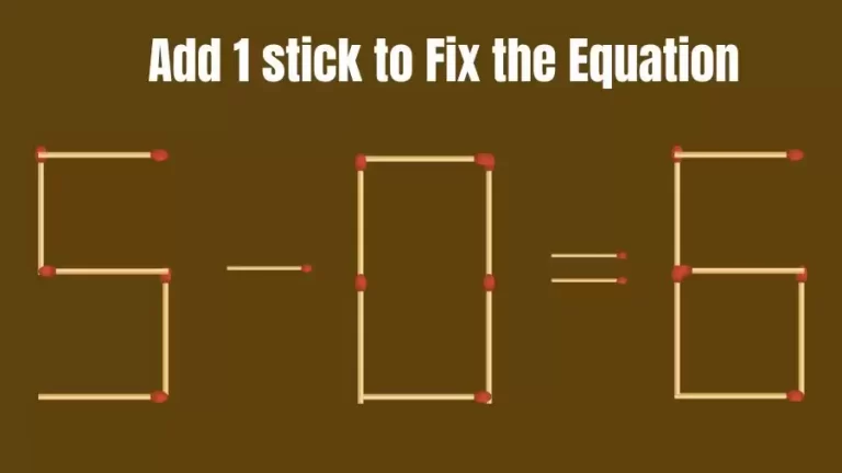 Matchstick Riddle: 5-0=6 Fix The Equation By Adding 1 Stick | Matchstick Puzzle