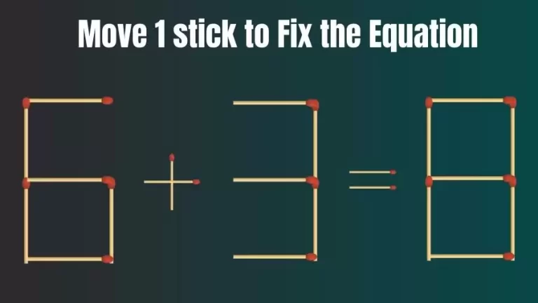 Matchstick Riddle: 6+3=8 Fix The Equation By Moving 1 Stick | Matchstick Puzzle