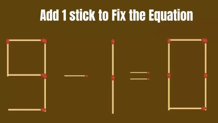 Matchstick Riddle: 9-1=0 Fix The Equation By Adding 1 Stick | Matchstick Puzzle