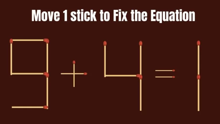 Matchstick Riddle: 9+4=1 Fix The Equation By Moving 1 Stick | Matchstick Puzzle