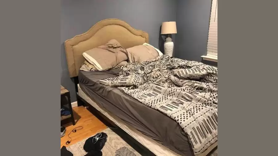 Normal IQ People Can easily Spot Hidden Sneaky dog in this messy bedroom within 15 secs