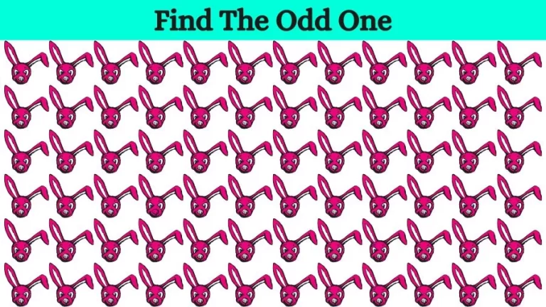 Observation Brain Challenge: Can you Spot the Odd One Out in 10 Secs?