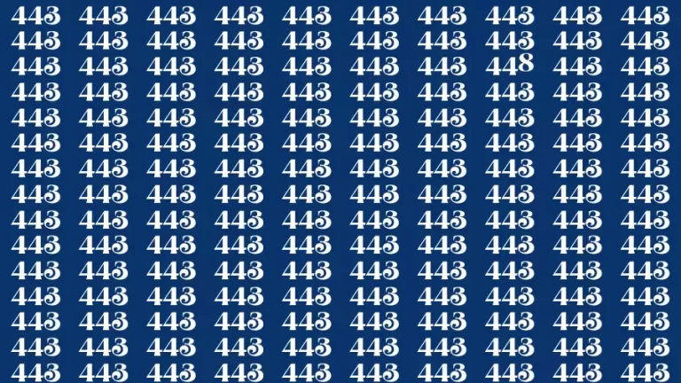 Observation Brain Challenge: Only Genius Can Find the Number 448 in 12 Secs