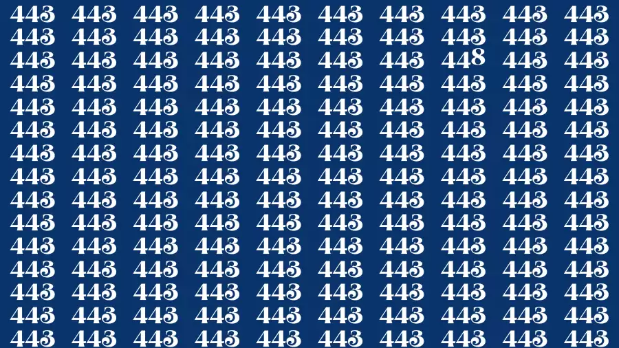 Observation Brain Challenge: Only Genius Can Find the Number 448 in 12 Secs