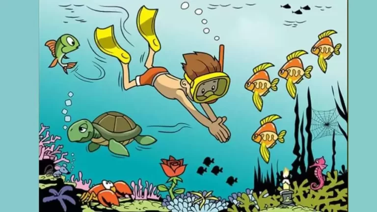 Observation Brain Challenge: Only Sharp Eyes People Can Find the 5 Mistakes in the Sea Diving Image within 10 Seconds?