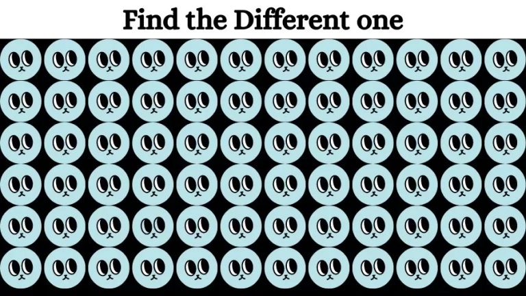 Observation Find it Out: Can you Circle the Odd One Out in this Image