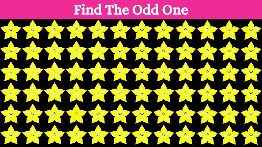 Observation Visual Test: How fast can you Spot the Odd One Out in this Visual Puzzle?