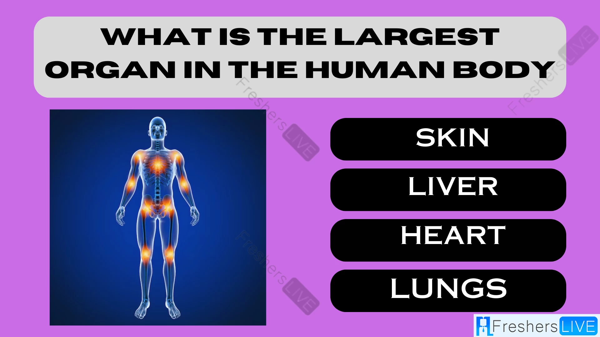 Only the Sharpest Minds Can Nail This: What’s the Human Body’s Largest Organ?