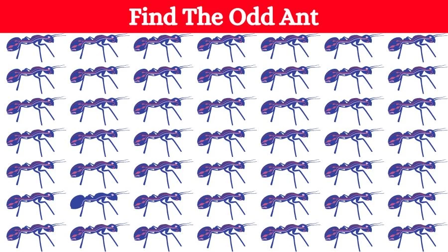 Optical Illusion Brain Challenge: Can you find the Odd Ant in 12 Seconds?