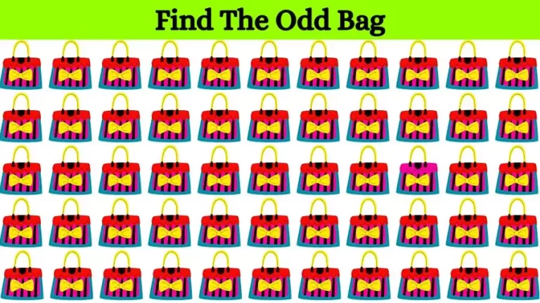 Optical Illusion Brain Challenge: Can you find the Odd Bag in 12 Seconds?