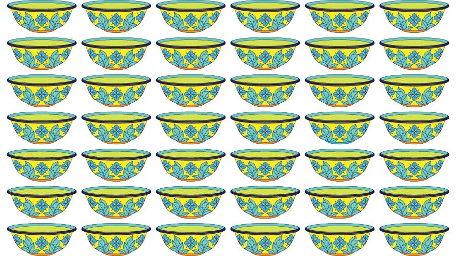 Optical Illusion Brain Challenge: Can you find the Odd Bowl in 12 Seconds?