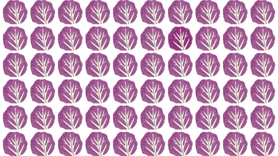 Optical Illusion Brain Challenge: Can you find the Odd Cabbage in 12 Seconds?