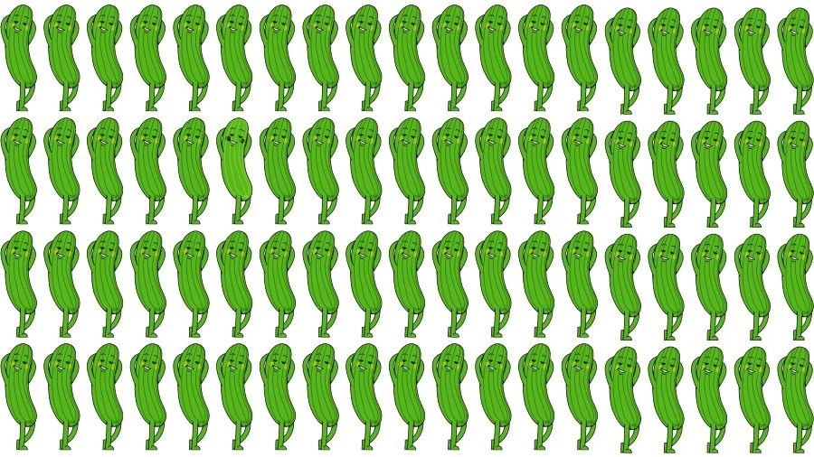 Optical Illusion Brain Challenge: Can you find the Odd Cucumber in 12 Seconds?