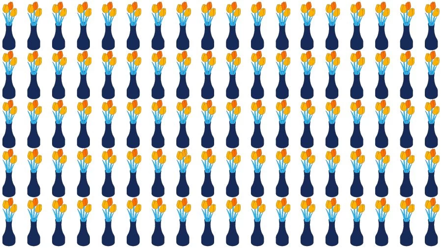 Optical Illusion Brain Challenge: Can you find the Odd Flower vase in 12 Seconds?