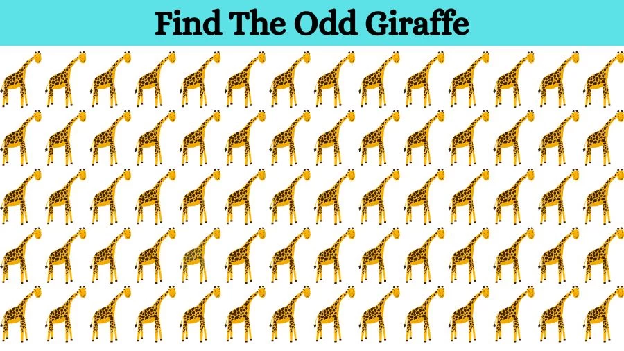 Optical Illusion Brain Challenge: Can you find the Odd Giraffe in 12 Seconds?