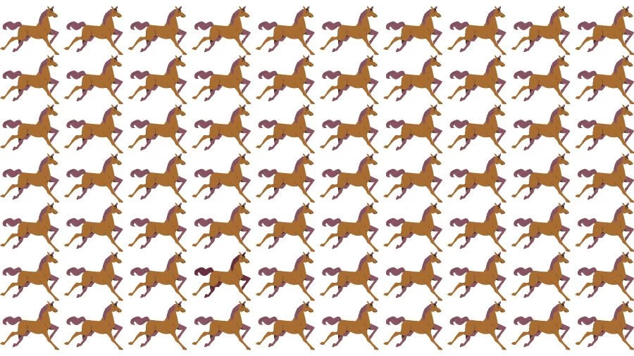 Optical Illusion Brain Challenge: Can you find the Odd Horse in 12 Seconds?